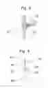 Fig. 05 - Barrel construction