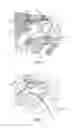 Fig. 03 - Suspension for mounting a turbojet engine on an aircraft