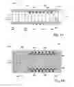 Fig. 08 - Integrated ion separation spectrometer