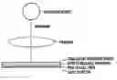 Fig. 01 - COMPUTED RADIOGRAPHY SYSTEM