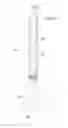 Fig. 03 - Fiber optic web edge sensor