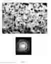 Fig. 04 - Method for producing nanoparticles for magnetic fluids by electron-beam evaporation and condensation in vacuum, a magnetic fluid producing method and magnetic fluid produced according to said method