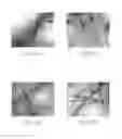 Fig. 02 - Synthesis of Pb alloy and core/shell nanowires