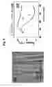Fig. 06 - Method for the synthesis of an array of metal nanowire capable of supporting localized plasmon resonances and photonic device comprising said array