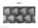 Fig. 07 - III-NITRIDE SEMICONDUCTOR LIGHT EMITTING DEVICE