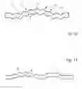 Fig. 07 - Metallic flat gasket