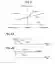 Fig. 04 - POWER SOURCE APPARATUS FOR VEHICLE