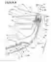 Fig. 12 - Multi-signal external rear-view mirror assembly for vehicles