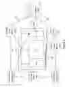 Fig. 03 - Three-dimensional display system