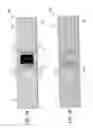 Fig. 08 - RFID tag