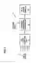 Fig. 02 - Method and system for highlighting an image representative of a flight parameter of an aircraft