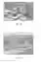 Fig. 10 - Sensor suite and signal processing for border surveillance