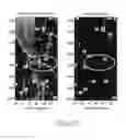Fig. 25 - Sensor suite and signal processing for border surveillance