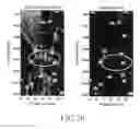 Fig. 26 - Sensor suite and signal processing for border surveillance