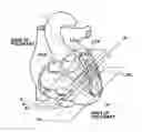 Fig. 01 - Diagnosis assisting apparatus, diagnosis assisting method, and storage medium in which a diagnosis assisting program is recorded