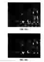 Fig. 09 - VIRTUAL REFERENCE VIEW