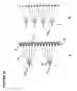 Fig. 17 - Apparatus for Displaying 3D Images