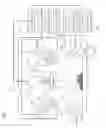 Fig. 02 - Three dimensional shape measurement apparatus