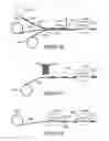 Fig. 07 - DUAL LIGHTGUIDE