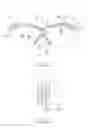 Fig. 07 - Flexible eyewear frame with rigid lens retainer