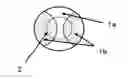 Fig. 01 - Contact lens and method for prevention of myopia progression