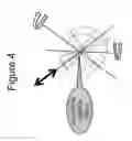 Fig. 05 - Systems for imaging structures of a subject and related methods