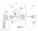 Fig. 02 - DIGITAL IMAGE PROJECTION SYSTEM