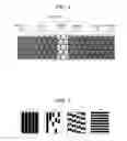 Fig. 04 - Method for defect determination in fine concave-convex pattern and method for defect determination on patterned medium