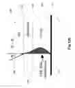 Fig. 09 - Cavity Plasmon Resonance Biosensing Device, Method And System