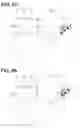 Fig. 05 - Light detecting device