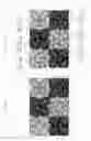 Fig. 09 - Image processing apparatus for obtaining image data comprising a code generation section, an encryption section, a pattern generation section, and an addition section