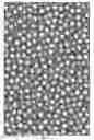 Fig. 02 - True three dimensional imagery and use thereof