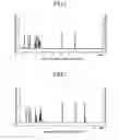 Fig. 02 - Electrochromic material and electrochromic device including the same