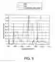 Fig. 04 - Screen and projection system