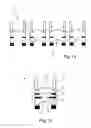 Fig. 08 - Wafer level optical elements and applications thereof