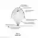 Fig. 02 - Spread reflector for a lamp structure