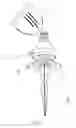 Fig. 06 - DUAL-PURPOSE SPOT LAMP