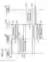 Fig. 26 - COMMUNICATION APPARATUS AND COMMUNICATION METHOD