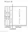 Fig. 07 - METHOD AND APPARATUS FOR ALLOCATING DATA BURST