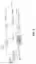Fig. 10 - DIGITAL IMAGE COMPRESSION BY RESOLUTION-ADAPTIVE MACROBLOCK CODING