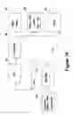 Fig. 16 - Method and apparatus to measure differential phase and frequency modulation distortions for audio equipment