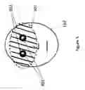 Fig. 06 - Operator interface for face and iris recognition devices