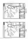 Fig. 02 - Medical apparatus and method of using the same for generating a virtual road map guide of a patient's anatomy and annotate the images