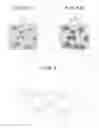 Fig. 05 - Method for distinguishing living cells during cell observation, image processing program for cell observation, and image processing device