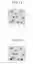 Fig. 09 - Method for distinguishing living cells during cell observation, image processing program for cell observation, and image processing device