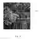 Fig. 05 - Image processing method, image processing device and recording medium
