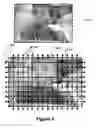 Fig. 19 - Digital image processing using face detection information