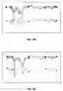 Fig. 05 - False alarm recognition in hyperspectral gas plume identification