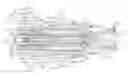 Fig. 01 - SPINDLE DEVICE FOR MACHINE TOOL