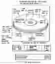 Fig. 01 - Information storage medium and information recording/playback system